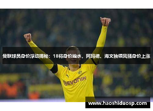 曼联球员身价浮动揭秘：18将身价缩水，阿玛德、海文独领风骚身价上涨