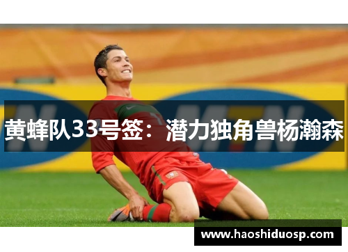黄蜂队33号签：潜力独角兽杨瀚森
